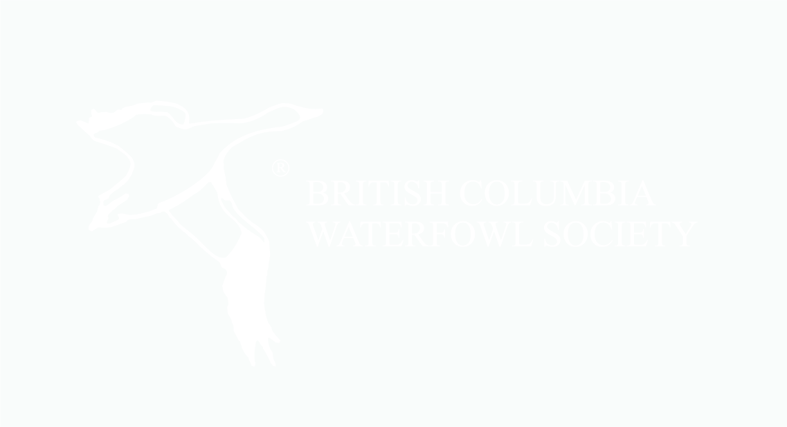 BC-waterfowl-society BC waterfowl society