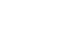 Oceanwise Logo