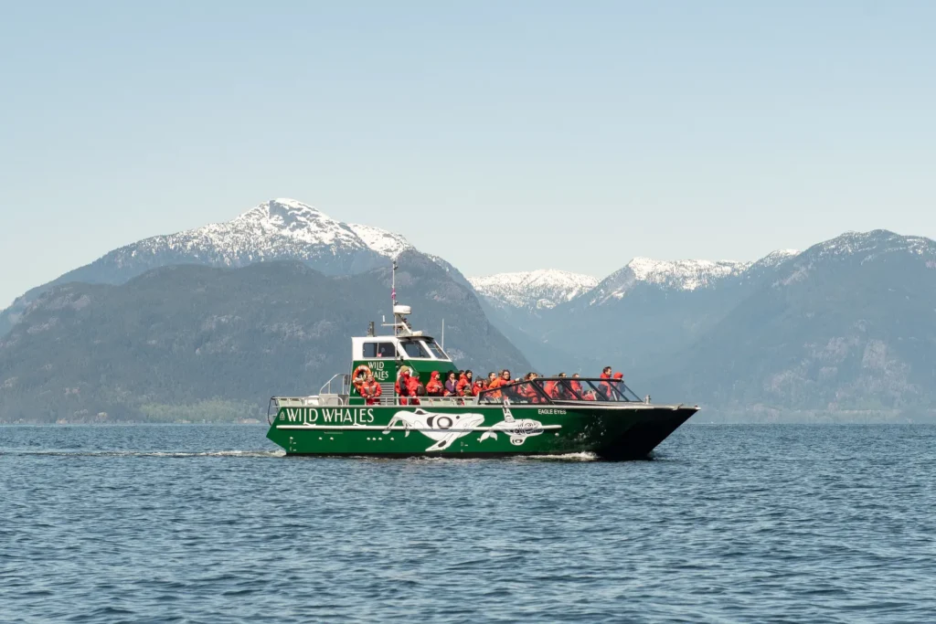 A green boat labeled Wild Whales, carrying people in orange life jackets, cruises the water for whale watching Vancouver adventures, with snow-capped mountains and a clear blue sky as the backdrop.